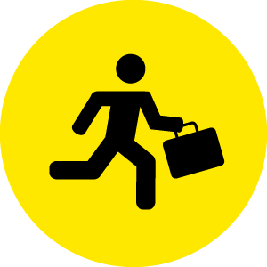 Bags VIP Luggage Delivery Service Bags Inc